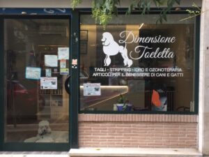 prespaziato adesivo bianco